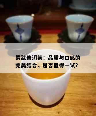 易武普洱茶：品质与口感的完美结合，是否值得一试？