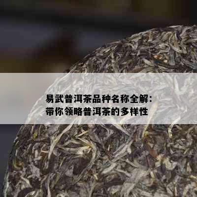 易武普洱茶品种名称全解：带你领略普洱茶的多样性