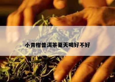 小青柑普洱茶夏天喝好不好