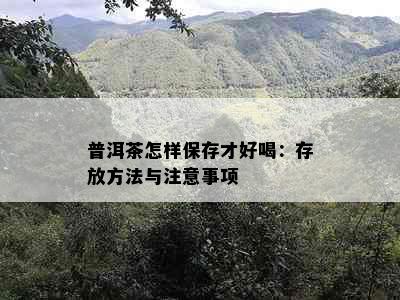 普洱茶怎样保存才好喝：存放方法与注意事项