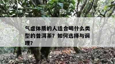 气虚体质的人适合喝什么类型的普洱茶？如何选择与调理？