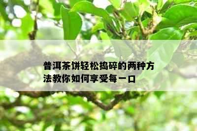 普洱茶饼轻松捣碎的两种方法教你如何享受每一口