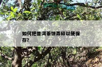 如何把普洱茶饼弄碎以便保存？