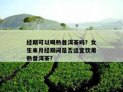 经期可以喝熟普洱茶吗？女生来月经期间是否适宜饮用熟普洱茶？