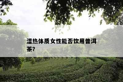 湿热体质女性能否饮用普洱茶？