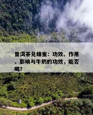 普洱茶兑蜂蜜：功效、作用、影响与牛奶的功效，能否喝？