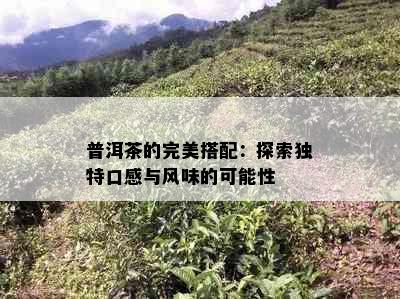 普洱茶的完美搭配：探索独特口感与风味的可能性