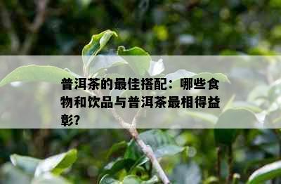 普洱茶的更佳搭配：哪些食物和饮品与普洱茶最相得益彰？