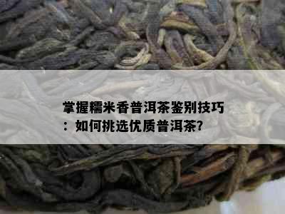 掌握糯米香普洱茶鉴别技巧：如何挑选优质普洱茶？