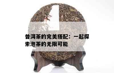 普洱茶的完美搭配：一起探索泡茶的无限可能