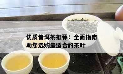 优质普洱茶推荐：全面指南助您选购最适合的茶叶