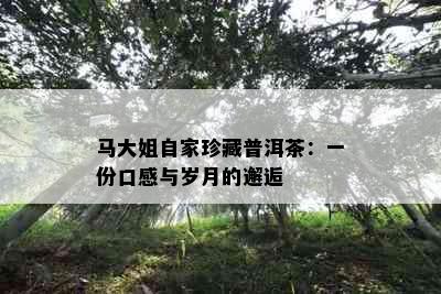 马大姐自家珍藏普洱茶：一份口感与岁月的邂逅