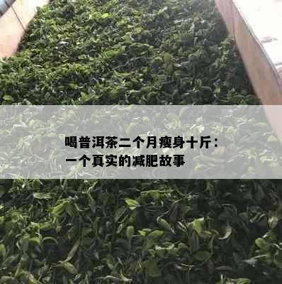 喝普洱茶二个月瘦身十斤：一个真实的减肥故事