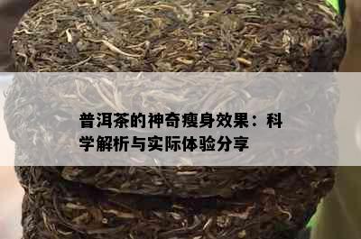 普洱茶的神奇瘦身效果：科学解析与实际体验分享