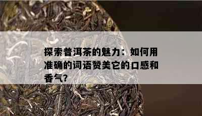 探索普洱茶的魅力：如何用准确的词语赞美它的口感和香气？