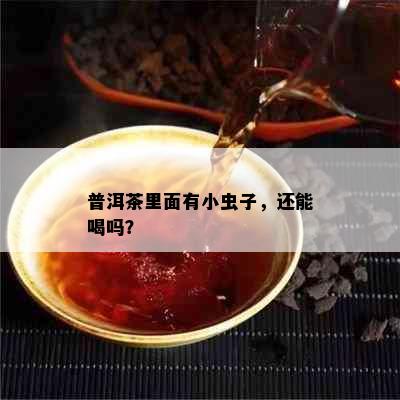 普洱茶里面有小虫子，还能喝吗？