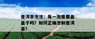 普洱茶泡法：每一泡需要盖盖子吗？如何正确泡制普洱茶？