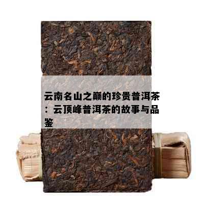 云南名山之巅的珍贵普洱茶：云顶峰普洱茶的故事与品鉴