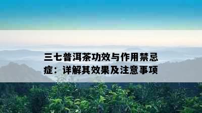 三七普洱茶功效与作用禁忌症：详解其效果及注意事项