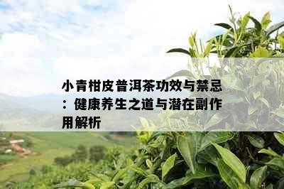 小青柑皮普洱茶功效与禁忌：健康养生之道与潜在副作用解析