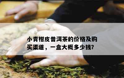 小青柑皮普洱茶的价格及购买渠道，一盒大概多少钱？