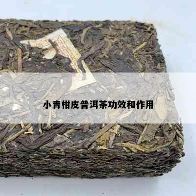 小青柑皮普洱茶功效和作用