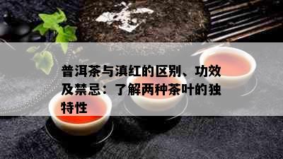 普洱茶与滇红的区别、功效及禁忌：了解两种茶叶的独特性