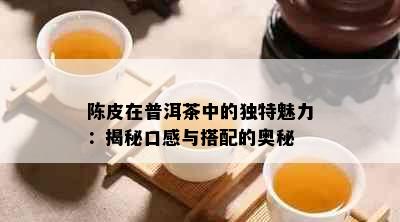 陈皮在普洱茶中的独特魅力：揭秘口感与搭配的奥秘