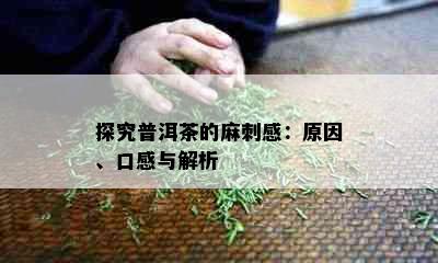 探究普洱茶的麻刺感：原因、口感与解析