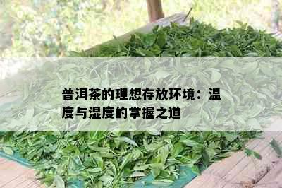 普洱茶的理想存放环境：温度与湿度的掌握之道