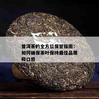 普洱茶的全方位保管指南：如何确保茶叶保持更佳品质和口感