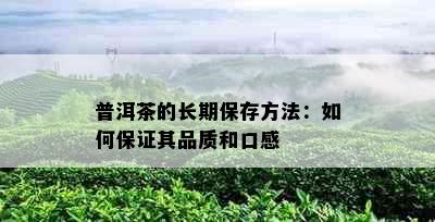 普洱茶的长期保存方法：如何保证其品质和口感