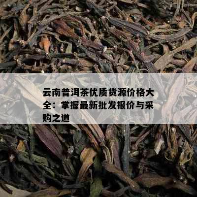 云南普洱茶优质货源价格大全：掌握最新批发报价与采购之道