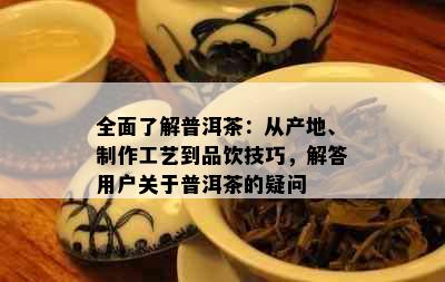 全面了解普洱茶：从产地、制作工艺到品饮技巧，解答用户关于普洱茶的疑问