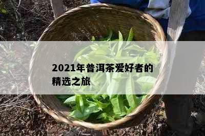 2021年普洱茶爱好者的精选之旅