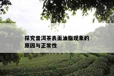 探究普洱茶表面油脂现象的原因与正常性