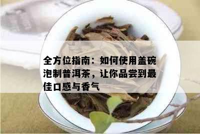 全方位指南：如何使用盖碗泡制普洱茶，让你品尝到更佳口感与香气