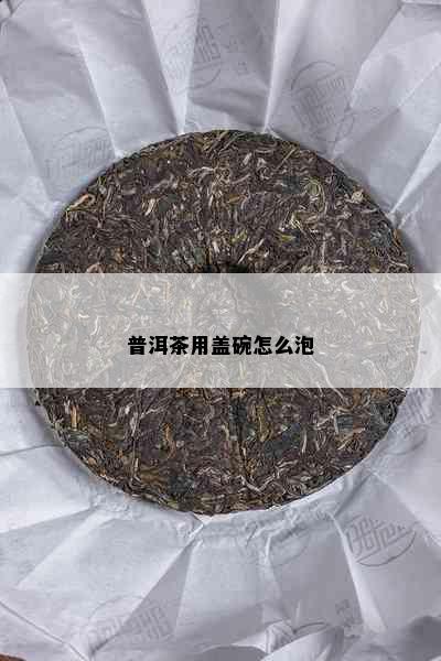 普洱茶用盖碗怎么泡