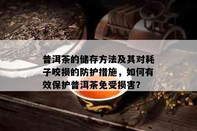 普洱茶的储存方法及其对耗子咬损的防护措施，如何有效保护普洱茶免受损害？