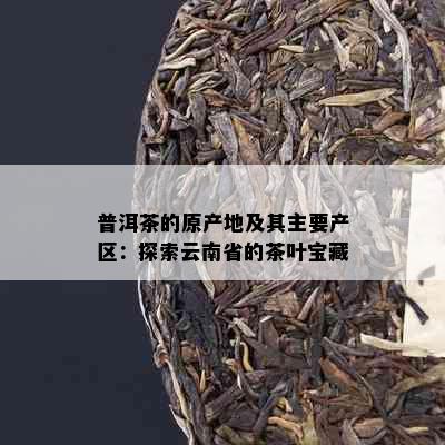 普洱茶的原产地及其主要产区：探索云南省的茶叶宝藏