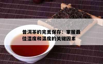 普洱茶的完美保存：掌握更佳湿度和温度的关键因素