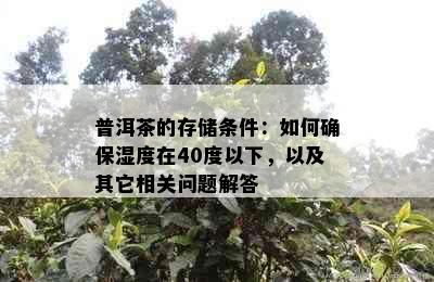 普洱茶的存储条件：如何确保湿度在40度以下，以及其它相关问题解答