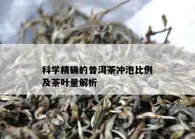 科学精确的普洱茶冲泡比例及茶叶量解析