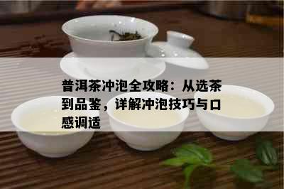 普洱茶冲泡全攻略：从选茶到品鉴，详解冲泡技巧与口感调适