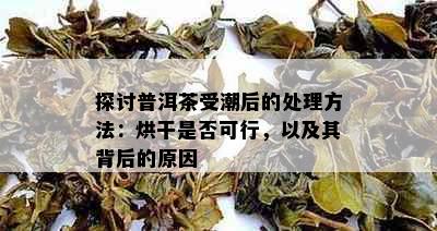 探讨普洱茶受潮后的处理方法：烘干是否可行，以及其背后的原因