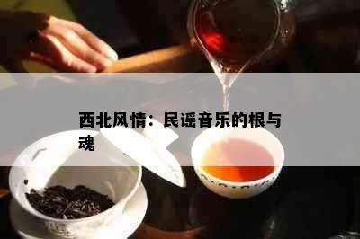 西北风情：民谣音乐的根与魂