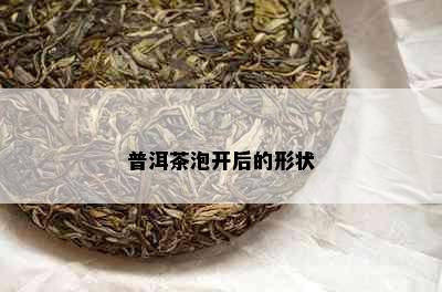 普洱茶泡开后的形状