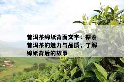 普洱茶绵纸背面文字：探索普洱茶的魅力与品质，了解绵纸背后的故事