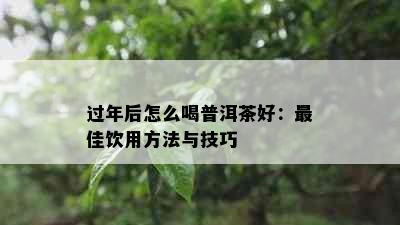 过年后怎么喝普洱茶好：更佳饮用方法与技巧