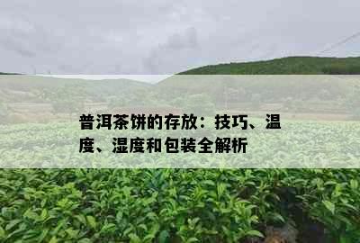 普洱茶饼的存放：技巧、温度、湿度和包装全解析